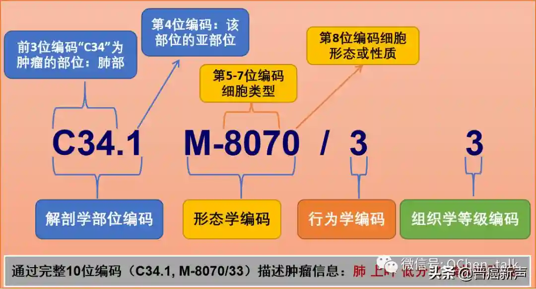 什么是ICD-O3编码？