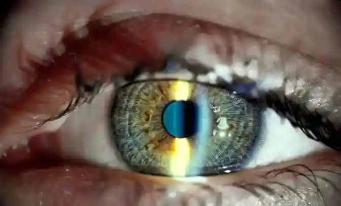 《自然》强推：世界首例干细胞基因编程让人类重新恢复视力