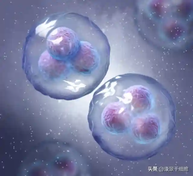 间充质干细胞一针多少钱？你知道吗？