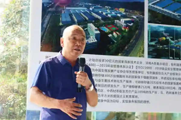 南阳南召：“小辛夷”引出的“大产业”