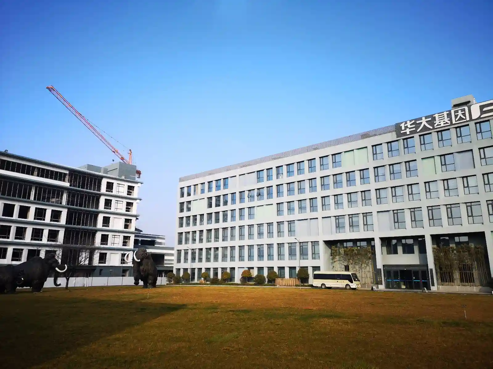 华大青岛再布局！建设辐射山东省乃至华北的细胞资源库