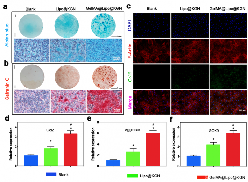 “千年药乡”育新机