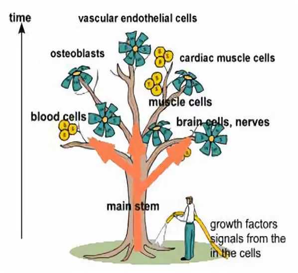 海南银行精准服务防疫保障型企业