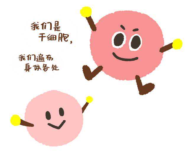 穿潮牌、喝奶茶、点香氛……挤破头的宠物赛道还有哪些新玩法？