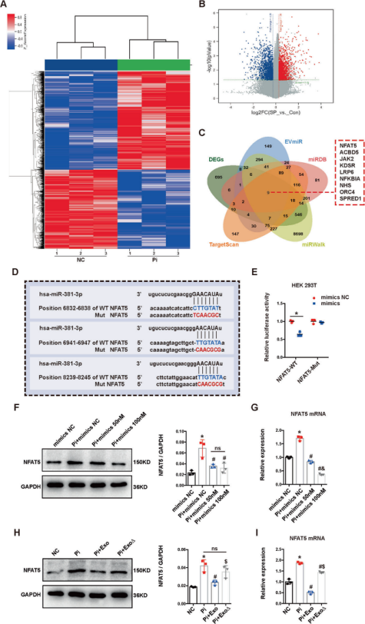 关注原发乳腺弥漫大B细胞淋巴瘤诊断与治疗