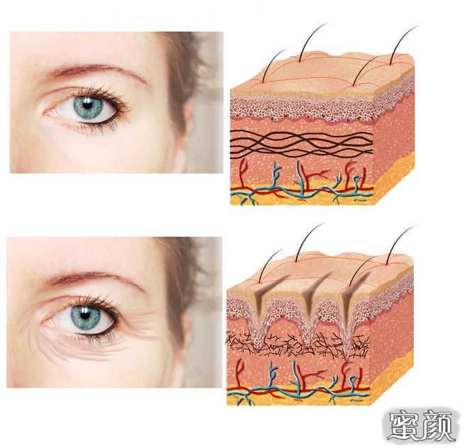 刚刚，她们在人民大会堂接受表彰！