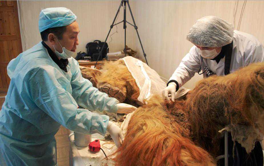 五洲交通：拟约5.85亿元购置位于南宁市五象新区的富雅·国际商务大厦A栋写字楼和地下车位