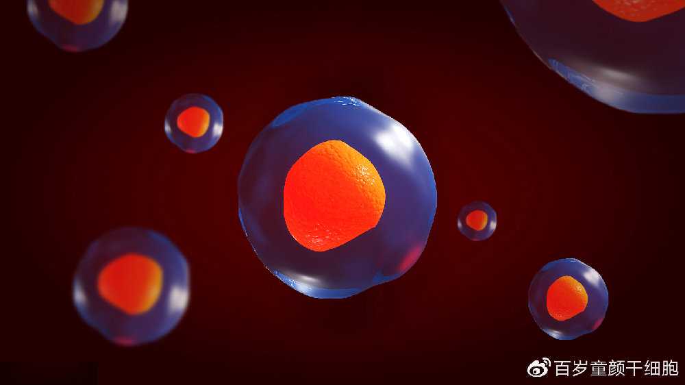 凤凰卫视主持人于盈：以每天都是奇迹的心态珍惜每一天