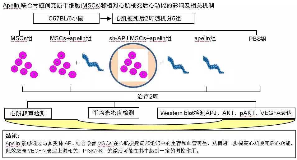 红河汉子许发才成功捐献造血干细胞，用爱心延续生命