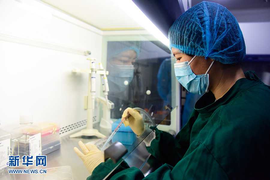 爱让生命“续航”——济源环球集团举行吴雪连同志捐献造血干细胞欢送仪式