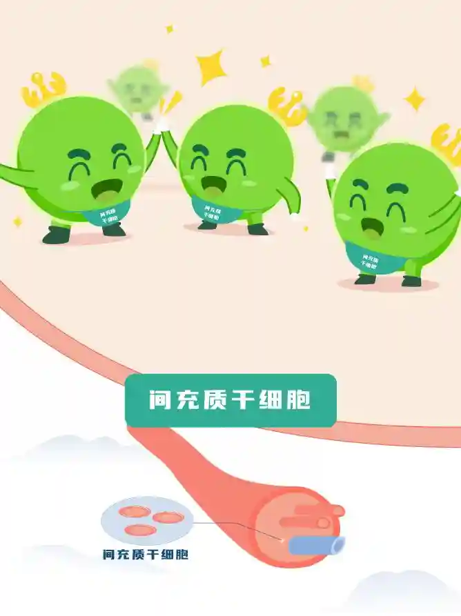 脐带中那些宝藏细胞资源，你知道多少？