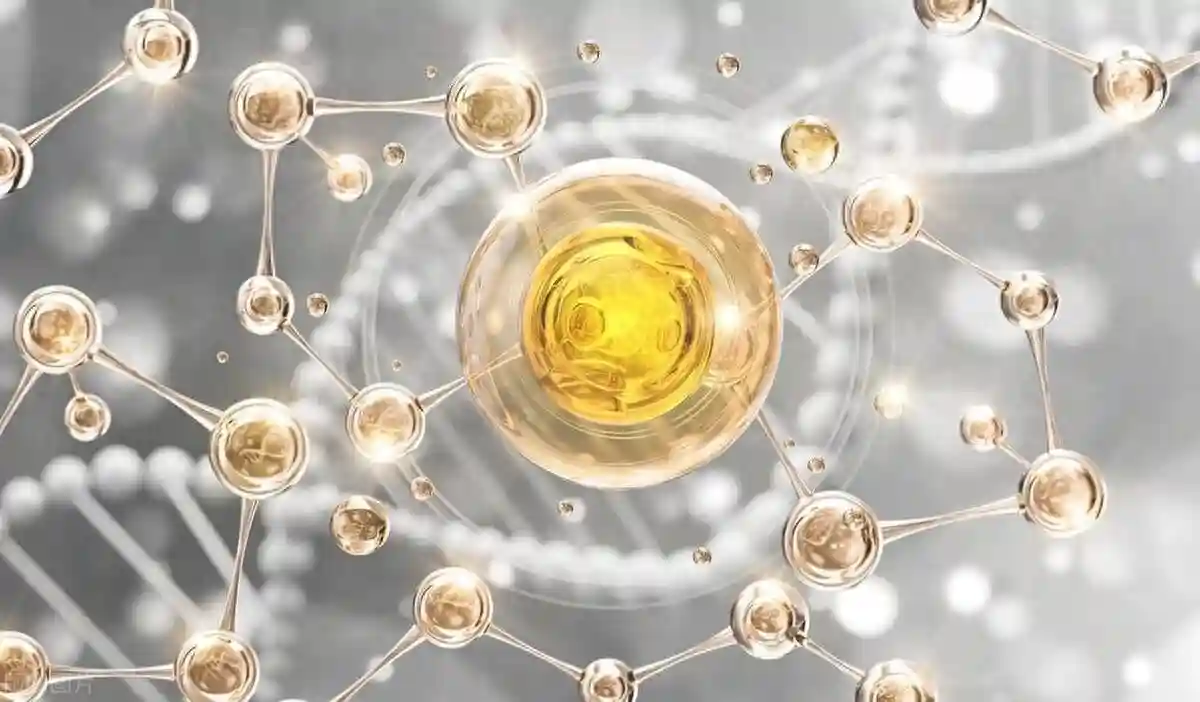 第十一届细胞生物医药产业大会将于11月北京举行