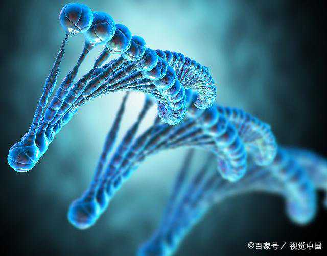 癌症细胞疗法很美，但如何评估其安全性？全国专家在广州形成基本共识