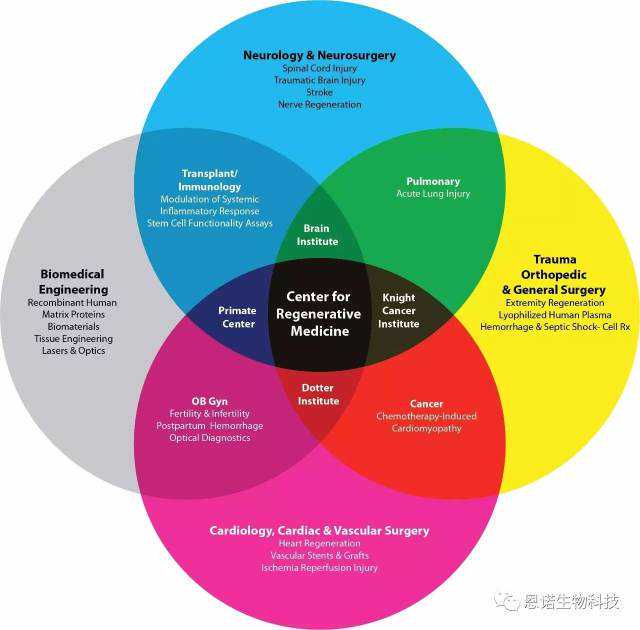 人人学懂免疫学：第四期