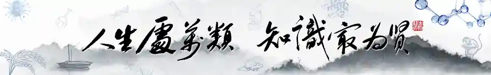 造血干细胞移植后的操作性耐受具有不同的转录、表型和代谢特征