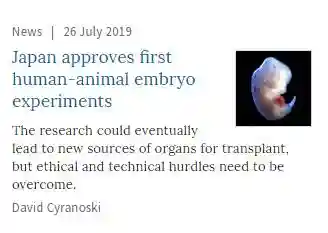“日本批准了首个人类和动物的杂交胚胎实验”？这事真让人起鸡皮疙瘩