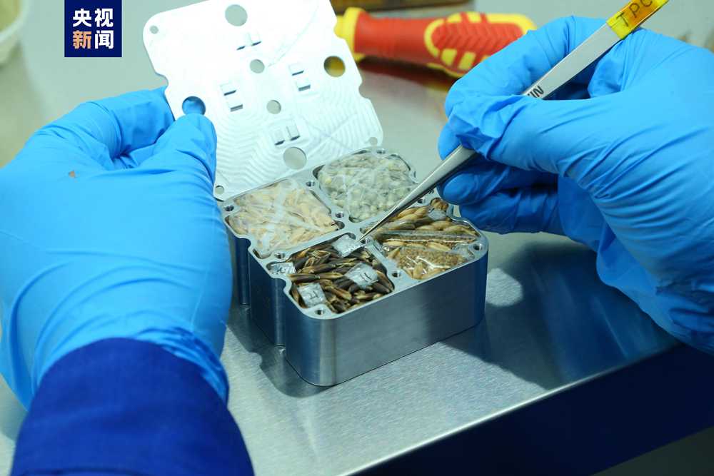 一封来自千里之外感谢信——记河北分库第488例造血干细胞捐献者李向波