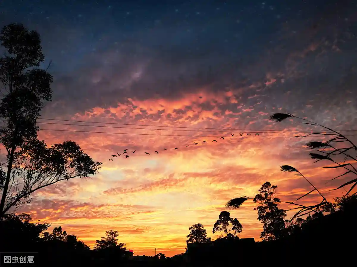 中医学肾的本脏功能和外延功能