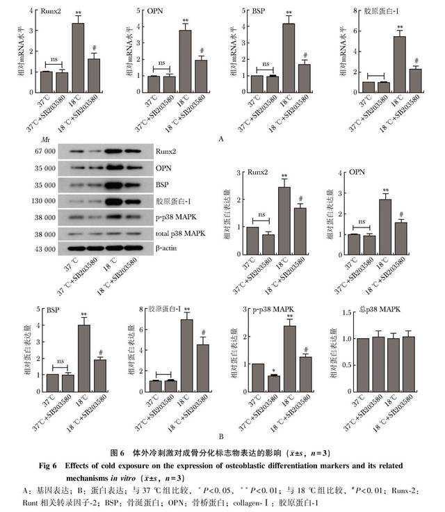 美3岁男孩患脑癌不能出门 邻居们门前杂耍为其鼓励