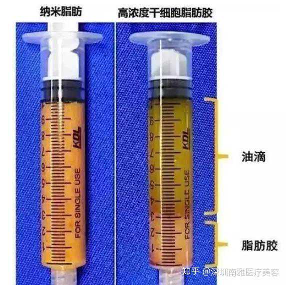 钟南山苏山等中外权威专家：天然虫草对新冠病毒能抑制增人免疫力