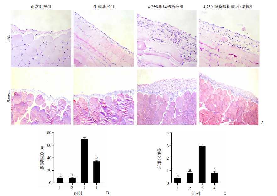 加快建设科技强国 实现高水平科技自立自强