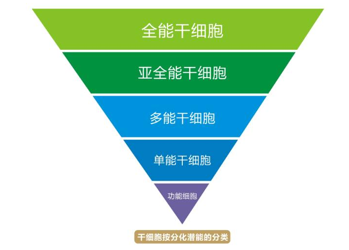 新知｜生物科技让科幻大片主人公呼风唤雨，现实中呢？