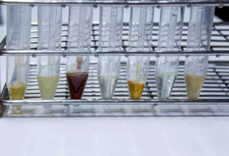 自贸壹号生命科技产业园：打造生物医药产业生态圈