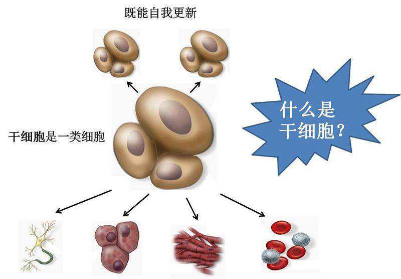 北京生物医药全产业链开放 上半年获批创新药等全国首位