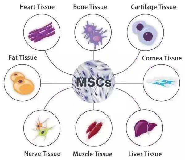 陕西领阅康成生物科技正式入驻沣东新城