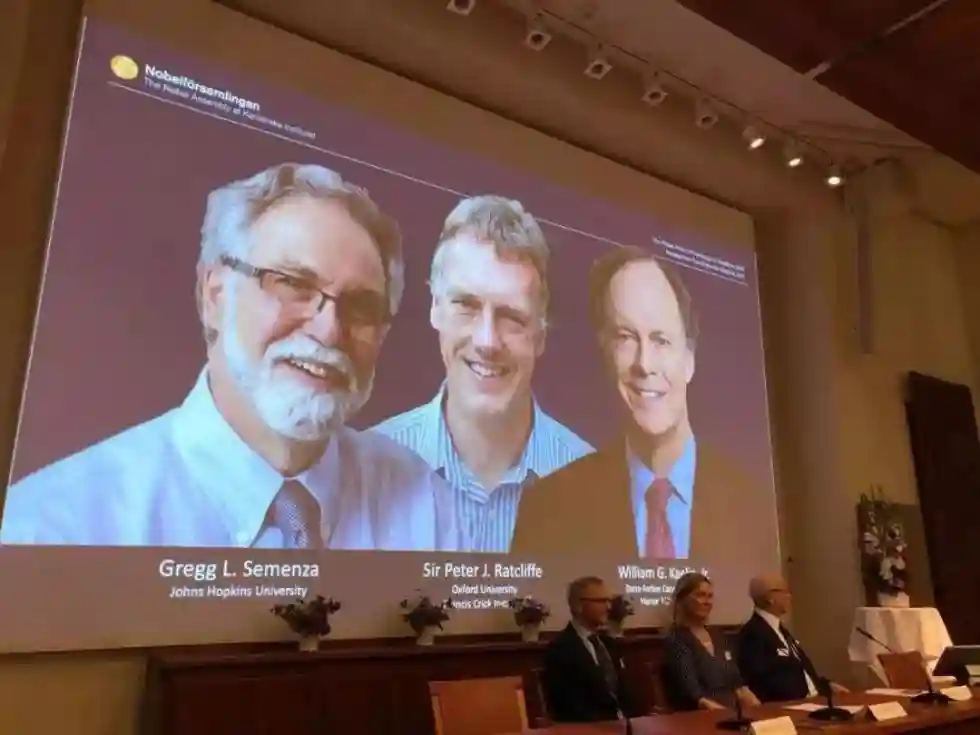 权威解读来了！为什么他们获得了2019诺贝尔生理学或医学奖？