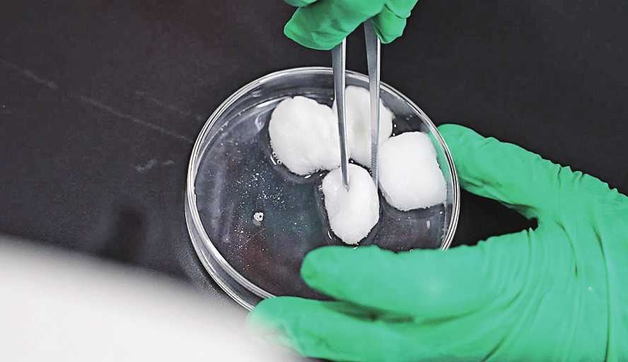 重磅！“2019民生示范工程”评选投票（第四批）