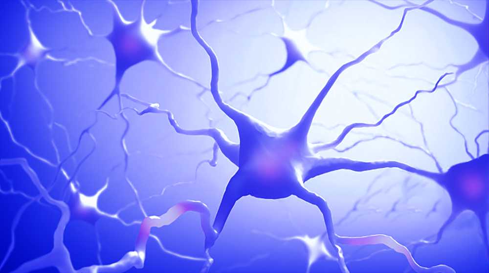 廊坊：建协同大平台 聚京津好项目