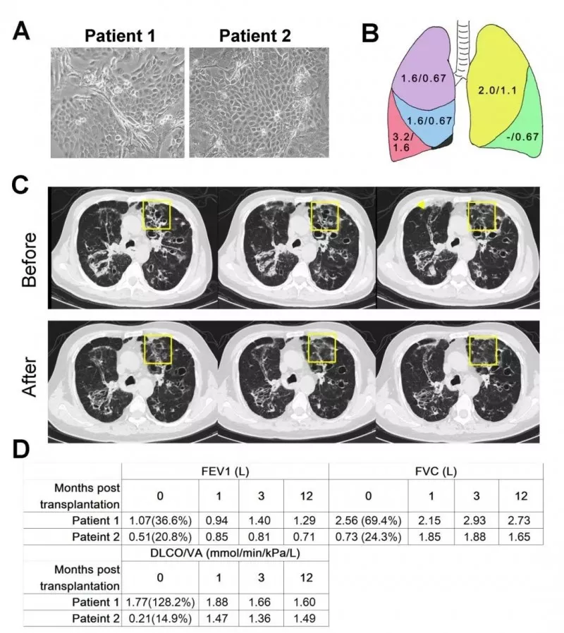 群星灿烂耀荆楚丨2018“荆楚楷模”6月上榜人物发布