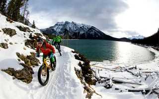 外资医疗扩大开放试点在沪落地，默克检测等6家企业集体变更营业执照