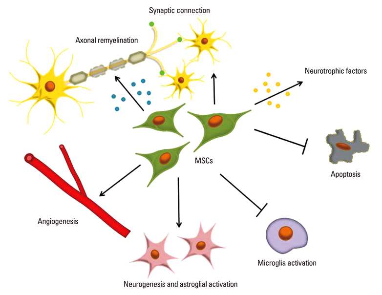 北京市造血干细胞捐献数量创新高