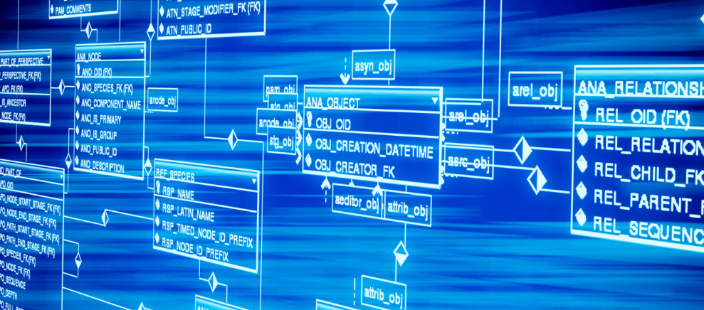 突破性研究成果不断涌现 新型研发机构提供“北京样本”