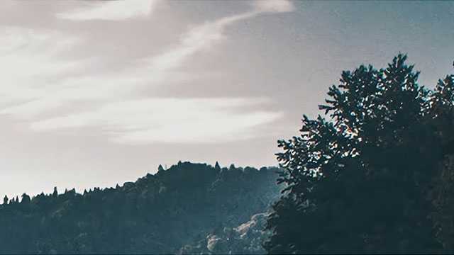 267篇！2022年中国学者Nature、Science论文统计 | 附全部论文